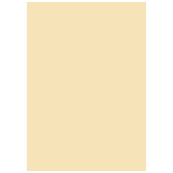 Multifunktionspapier Universalpapier | A4, 160 g/m², chamois, 25 Blatt