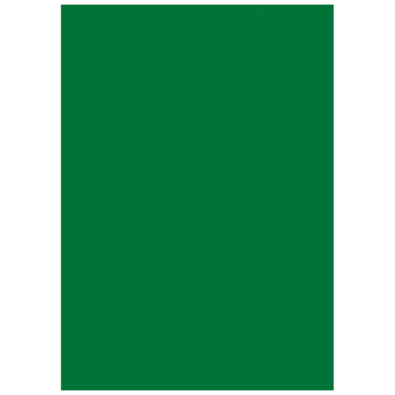 Multifunktionspapier Universalpapier | A4, 120 g/m², dunkelgrün, 35 Blatt