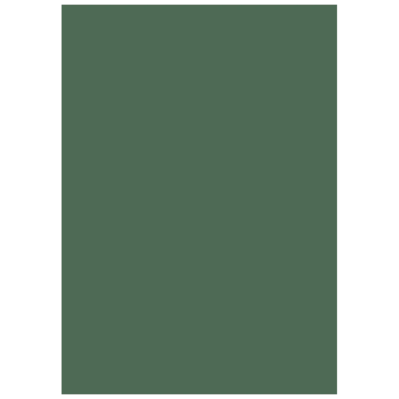 Multifunktionspapier Universalpapier | A4, 120 g/m², moosgrün, 35 Blatt
