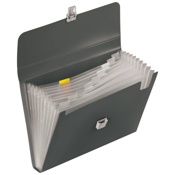 Fächermappe FACT!pp | A4, 10 Fächer, onyx