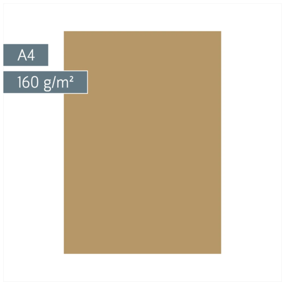 Multifunktionspapier Universalpapier | A4, 160 g/m², sand, 25 Blatt
