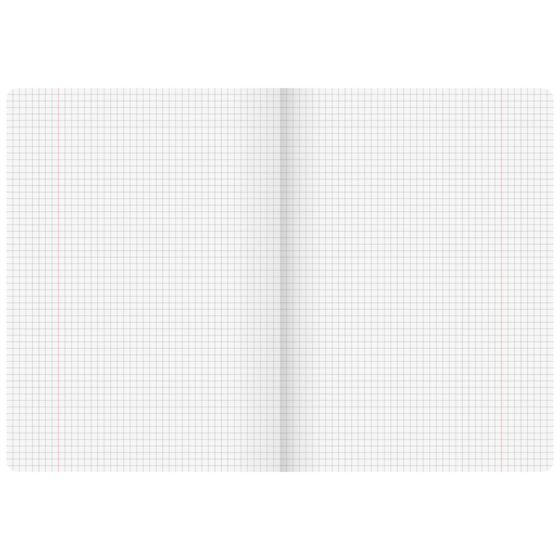 Diarien | A4, Lineatur 26, 40 Blatt, sortiert