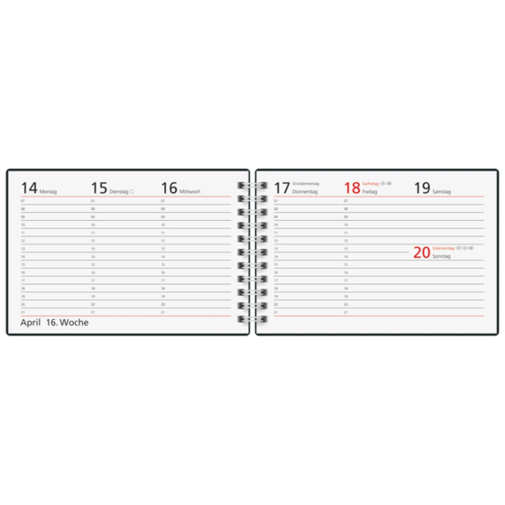 Taschenkalender Colour Line Mod. Septimus 2027 | A6 quer, Papier, grün