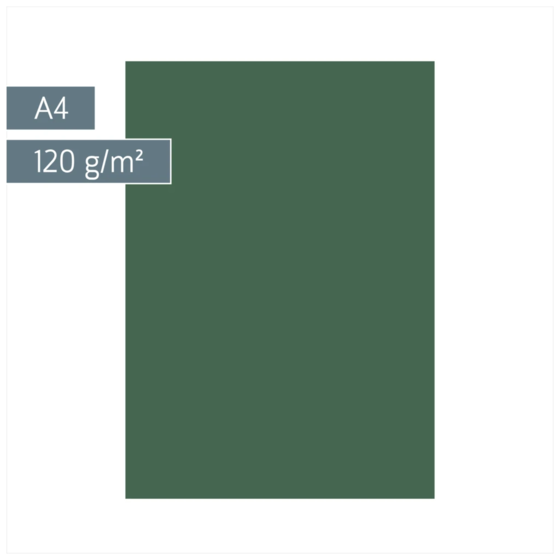 Multifunktionspapier Universalpapier | A4, 120 g/m², moosgrün, 35 Blatt