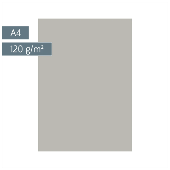 Multifunktionspapier Universalpapier | A4, 120 g/m², grau, 35 Blatt