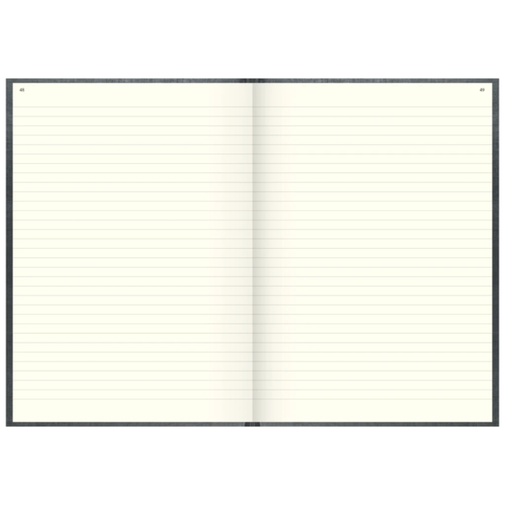 Geschäftsbuch | A4, 192 Seiten, mit Seitenzahlen, liniert, Kunststoff, grau