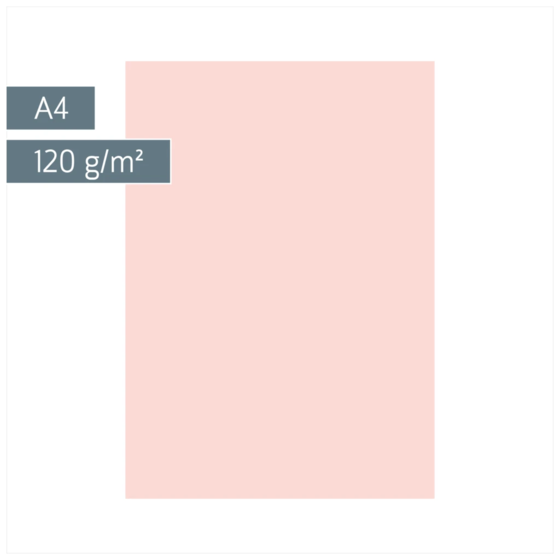 Multifunktionspapier Universalpapier | A4, 120 g/m², rosé, 35 Blatt