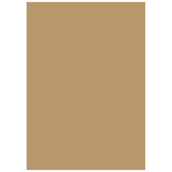 Multifunktionspapier Universalpapier | A4, 120 g/m², sand, 35 Blatt