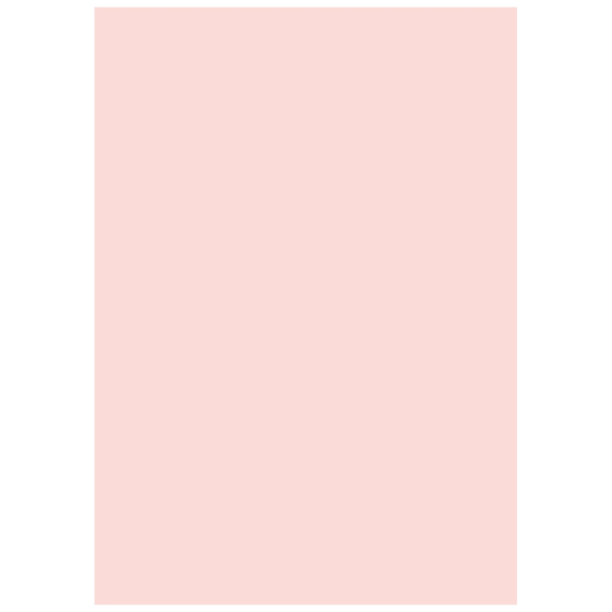 Multifunktionspapier Universalpapier | A4, 160 g/m², rosé, 25 Blatt