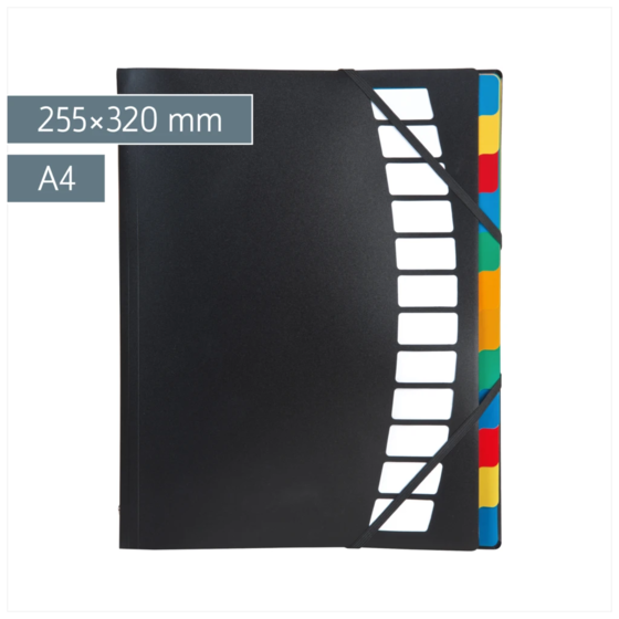 Ordnungsmappe | A4, 12 Fächer, schwarz