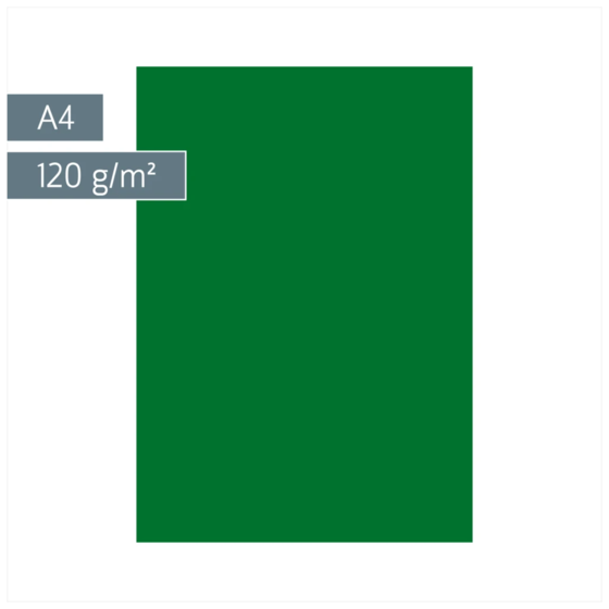 Multifunktionspapier Universalpapier | A4, 120 g/m², dunkelgrün, 35 Blatt