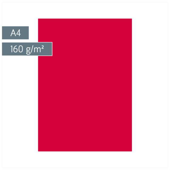 Multifunktionspapier Universalpapier | A4, 160 g/m², mittelrot, 25 Blatt