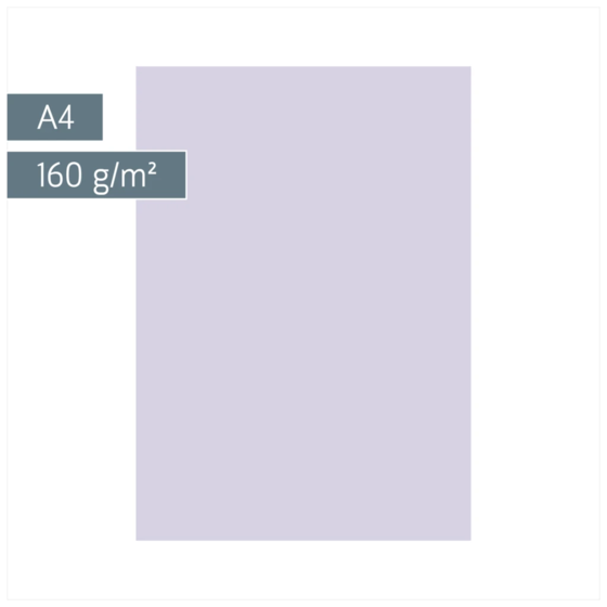Multifunktionspapier Universalpapier | A4, 160 g/m², lilac, 25 Blatt