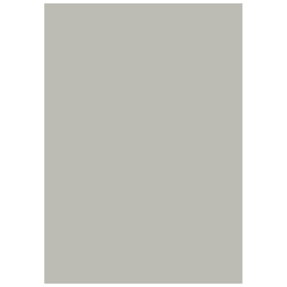 Multifunktionspapier Universalpapier | A4, 120 g/m², grau, 35 Blatt