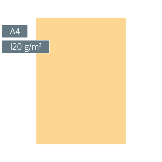 Multifunktionspapier Universalpapier | A4, 120 g/m², honig, 35 Blatt