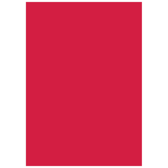 Multifunktionspapier Universalpapier | A4, 160 g/m², mittelrot, 25 Blatt
