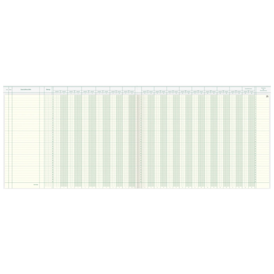 Amerikanisches Journal | 420×297 mm, 96 Seiten, Konten-Journal, Karton, magenta/hellblau