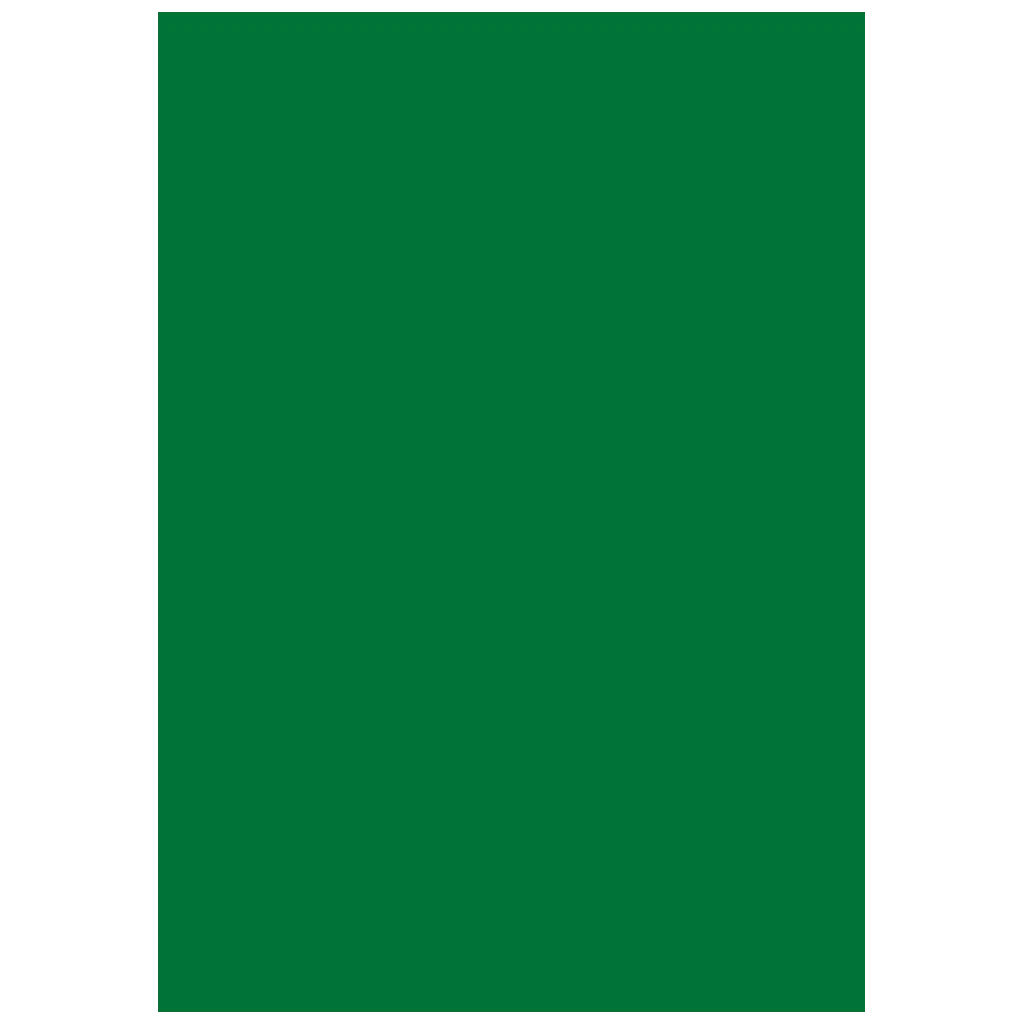 Multifunktionspapier Universalpapier | A4, 160 g/m², dunkelgrün, 25 Blatt